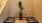 a room with a plant and a bench